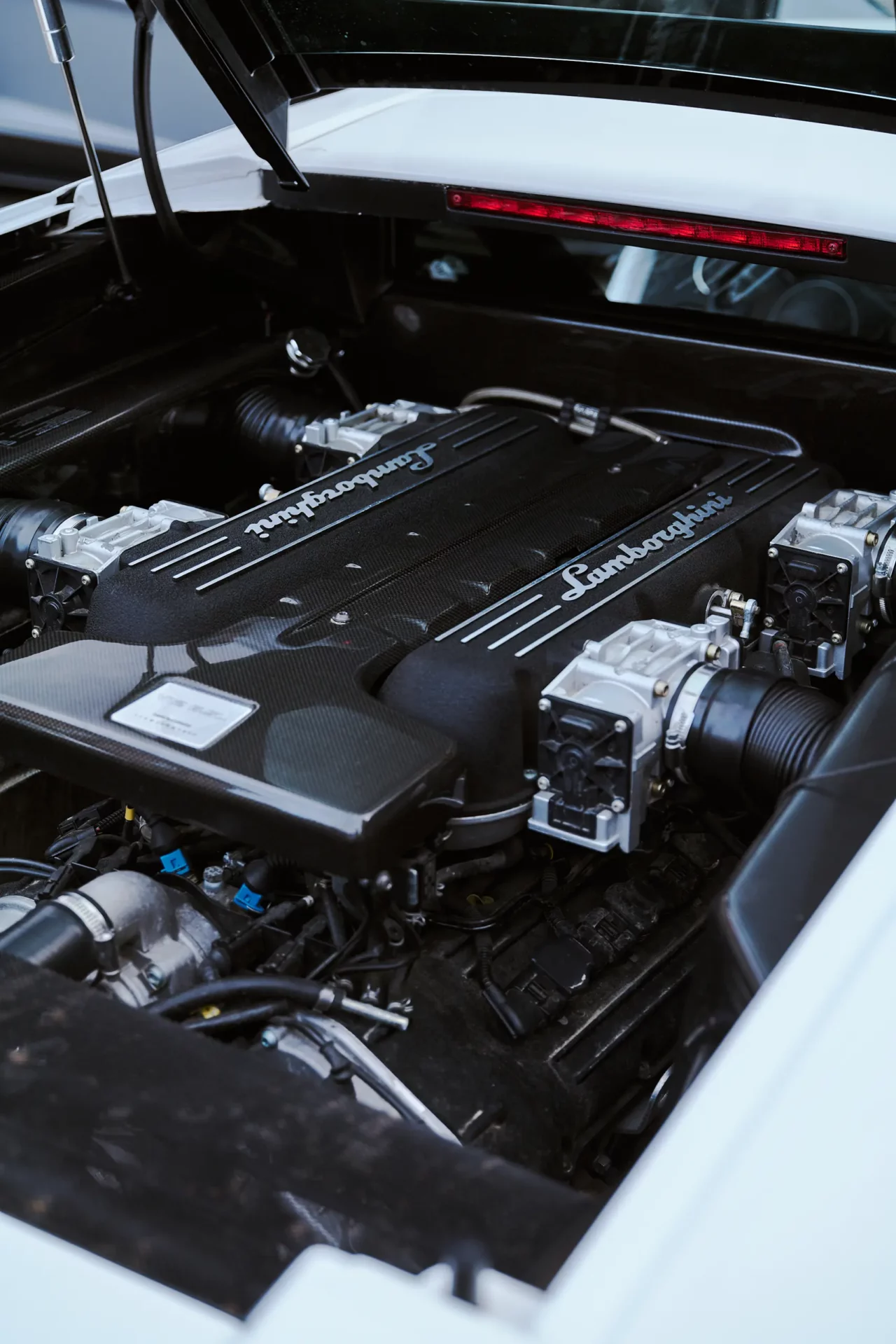Engine (Lamborghini Murcielago)